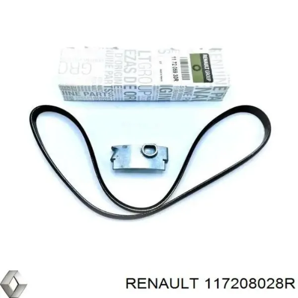 Correa de transmisión 117208028R Renault (RVI)