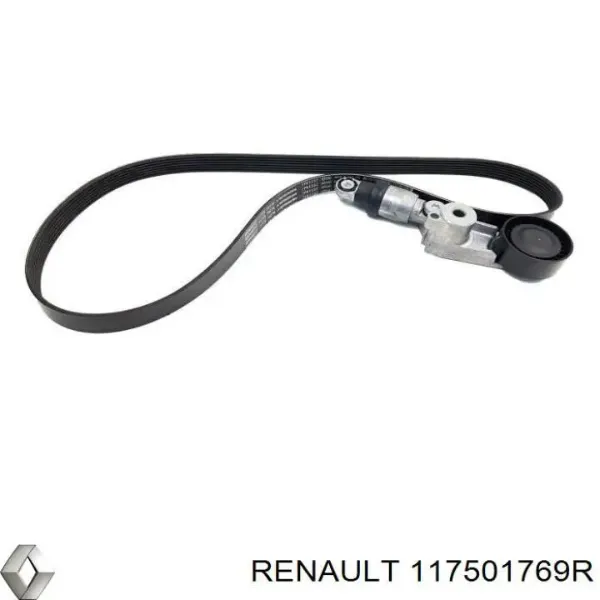  117501769R Renault (RVI)