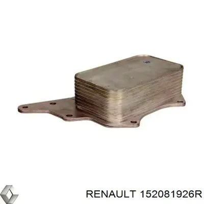 Caja, filtro de aceite RENAULT 152081926R