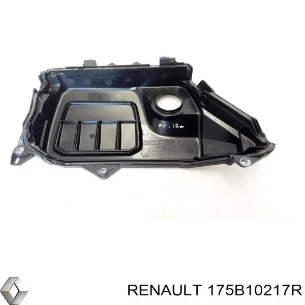  175B10217R Renault (RVI)