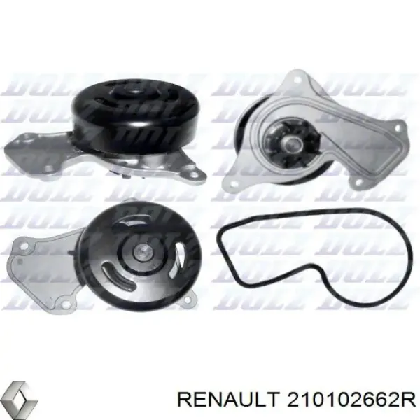 Bomba de agua 210102662R Renault (RVI)
