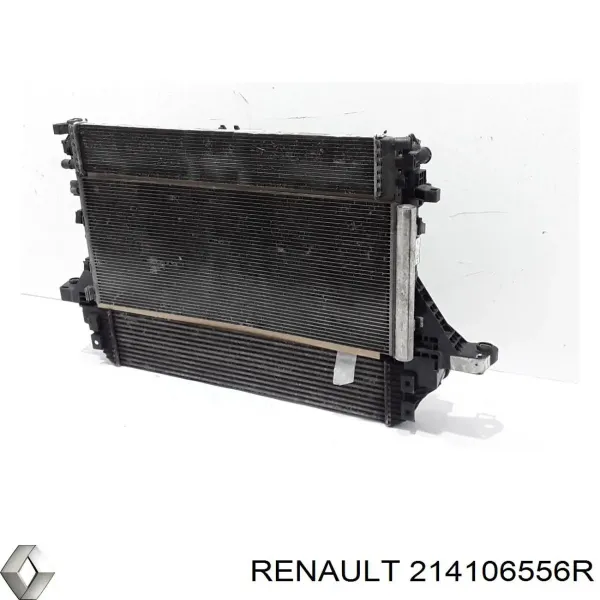 Radiador 214106556R Renault (RVI)