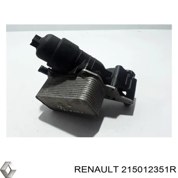 Manguera superior del radiador 215012351R Renault (RVI)