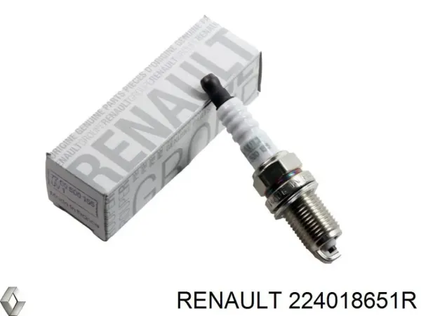 Bujía 224018651R Renault (RVI)