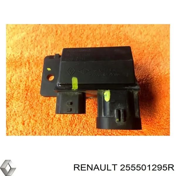  255501295R Renault (RVI)
