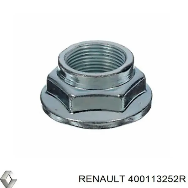  400113252R Renault (RVI)