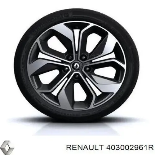 403002961R Renault (RVI)