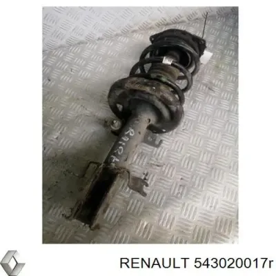 Amortiguador delantero RENAULT 543020017R