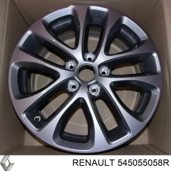  545055058R Renault (RVI)