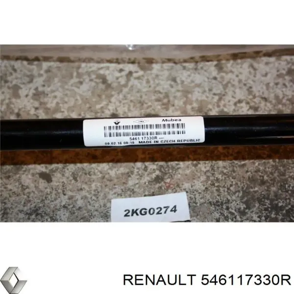  546117330R Renault (RVI)