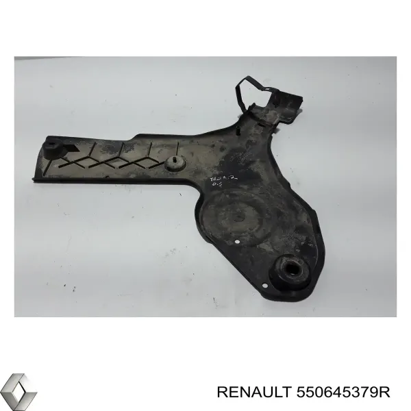 Protección del eje trasero (subchasis) 550645379R Renault (RVI)