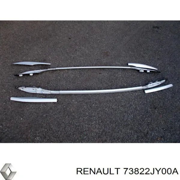  73822JY00A Renault (RVI)