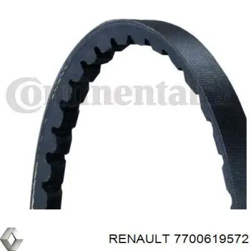 Correa de alternador 7700619572 Renault (RVI)