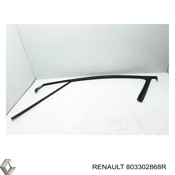  803302868R Renault (RVI)