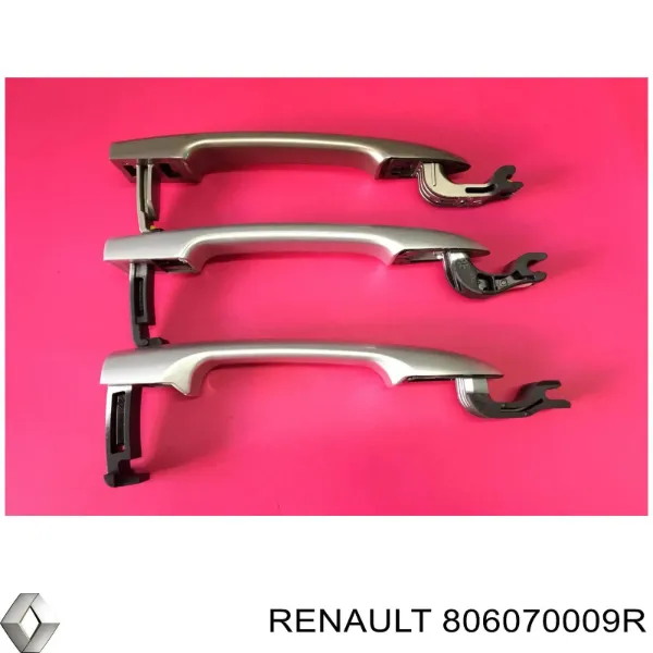  806070009R Renault (RVI)