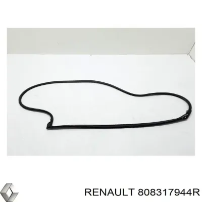 Junta de puerta delantera izquierda RENAULT 808317944R