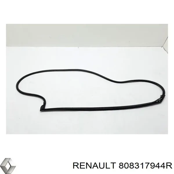 Junta de puerta delantera izquierda 808317944R Renault (RVI)