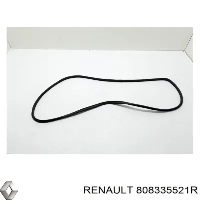 Junta de puerta delantera izquierda (en carrocería) RENAULT 808335521R