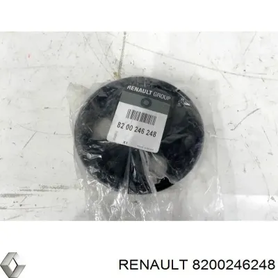 Polea, servobomba RENAULT 8200246248