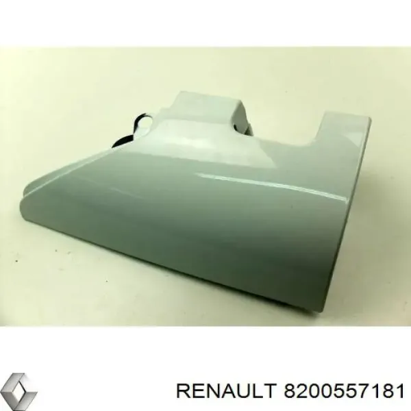  8200557181 Renault (RVI)