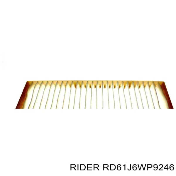 Filtro de habitáculo RD61J6WP9246 Rider