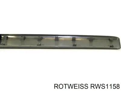 Moldura de la puerta delantera izquierda ROTWEISS RWS1158