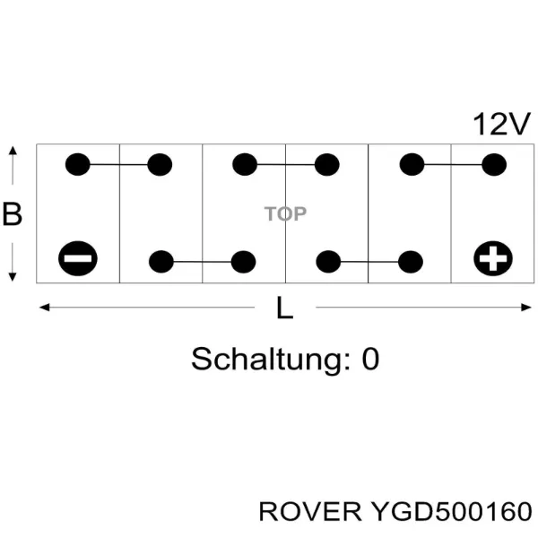 V99170020 Vemo