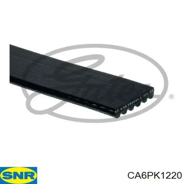 6PK1220 Dayco
