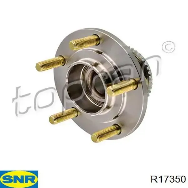 R17350 SNR