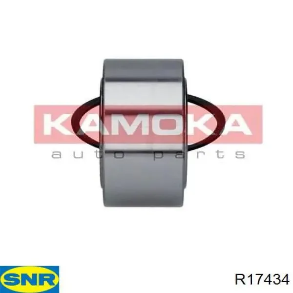 R17434 SNR