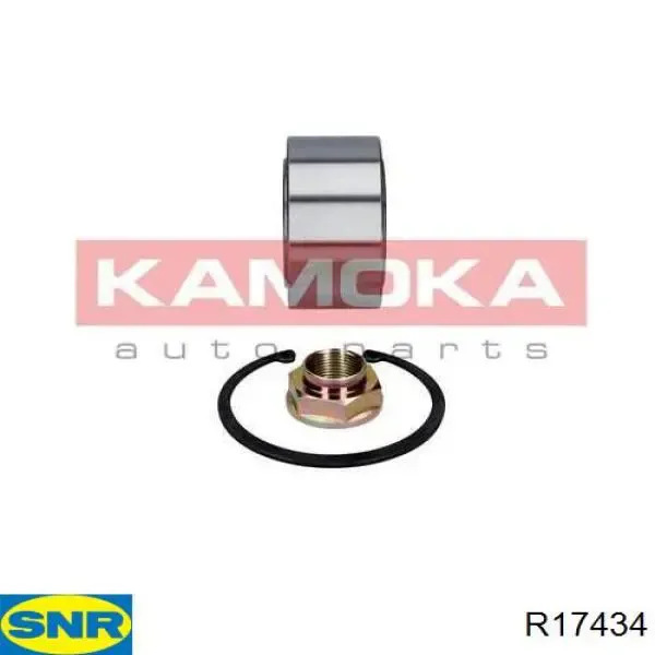 R17434 SNR