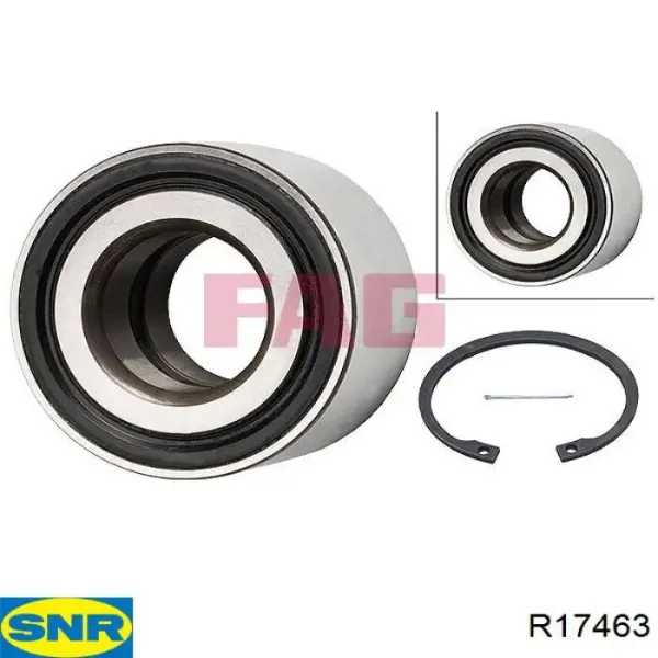 R17463 SNR
