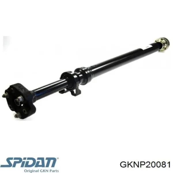 Cardán 20081 GKN-Spidan