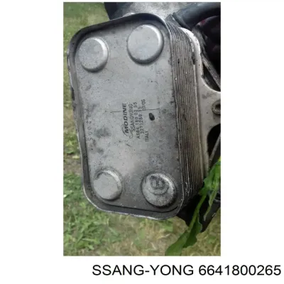 Radiador de aceite SSANG YONG 6641800265