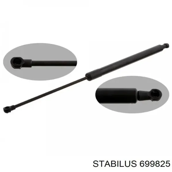 Amortiguador maletero 904502954R Renault (RVI)