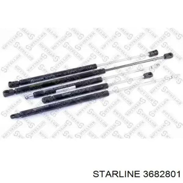  3682801 Starline