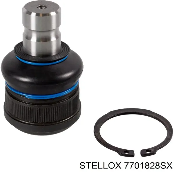755405 Cautex