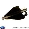 Guardabarros delantero derecho Subaru Forester S11, SG