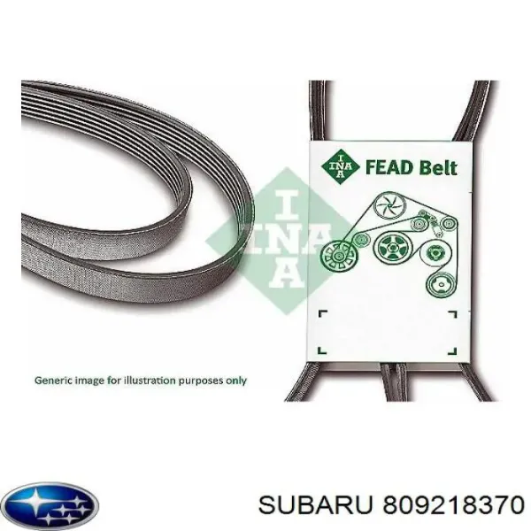 Correa de alternador Subaru Outback III