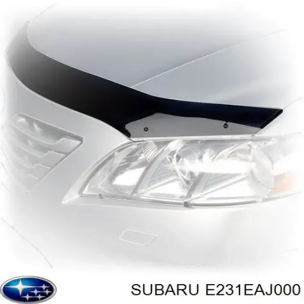Deflector de capó Subaru Outback IV