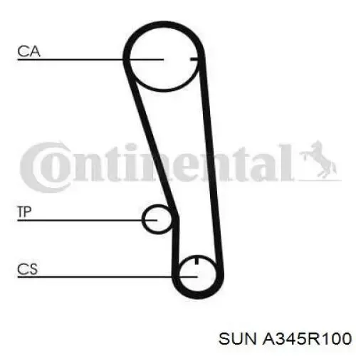 Correa distribución A345R100 SUN