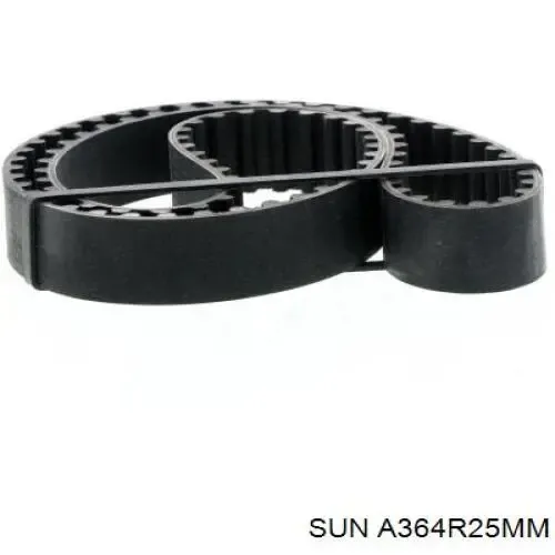 Correa distribución A364R25MM SUN