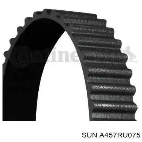 Correa distribución A457RU075 SUN
