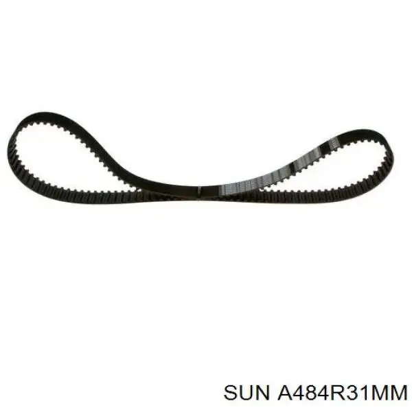 Correa distribución A484R31MM SUN
