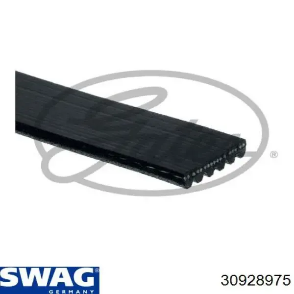 Correa trapezoidal Volkswagen LT 2DB, 2DE, 2DK