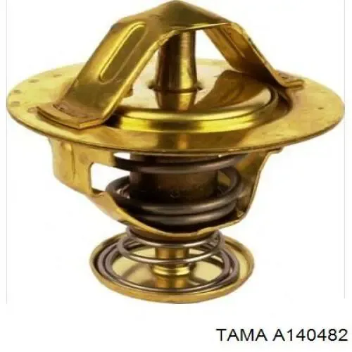 Termostato A140482 Tama