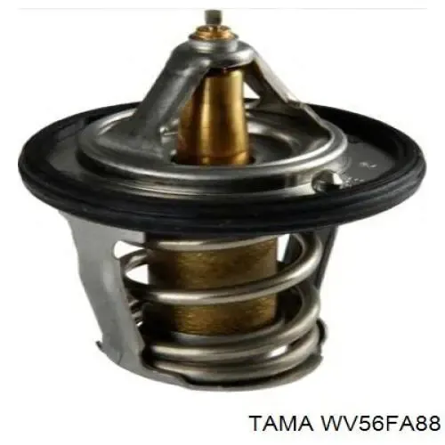 Termostato WV56FA88 Tama
