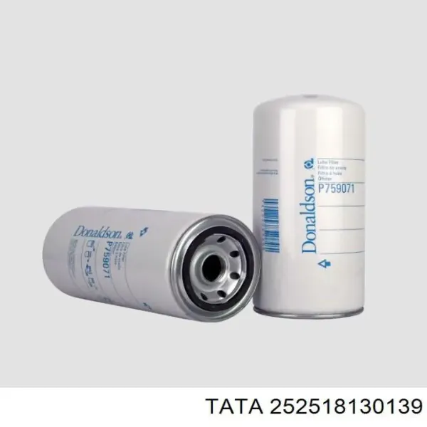 Filtro de aceite 252518130139 Tata