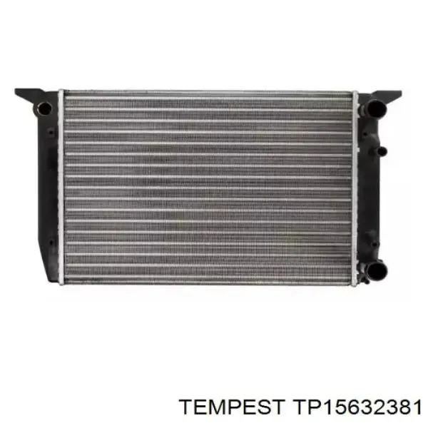 Radiador TP15632381 Tempest