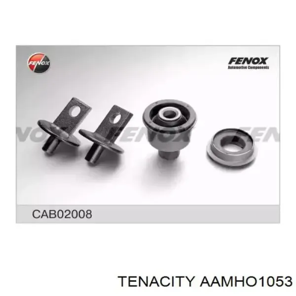 Suspensión, brazo oscilante trasero inferior AAMHO1053 Tenacity